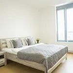 Waltrovka One Bed Room Apartment